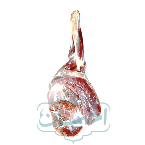 کف دست گوسفندی